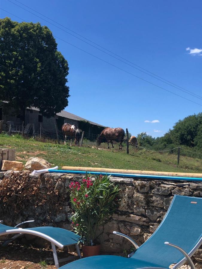 La Ferme De La Truffe Chambres D Hotes Cuzance Buitenkant foto